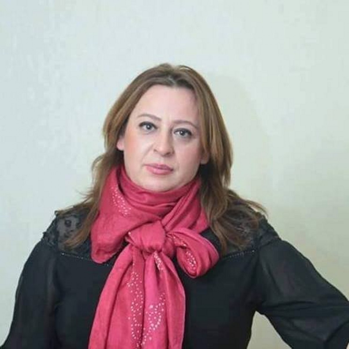 Əjdər Tağıoğlu: "Qədim erməni əlifbası" deyilən əlifba, əslində, "Avesta"dan oğurluqdur"