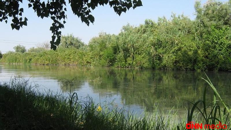 Kürqırağı Tuqay meşələri TƏHLÜKƏDƏ