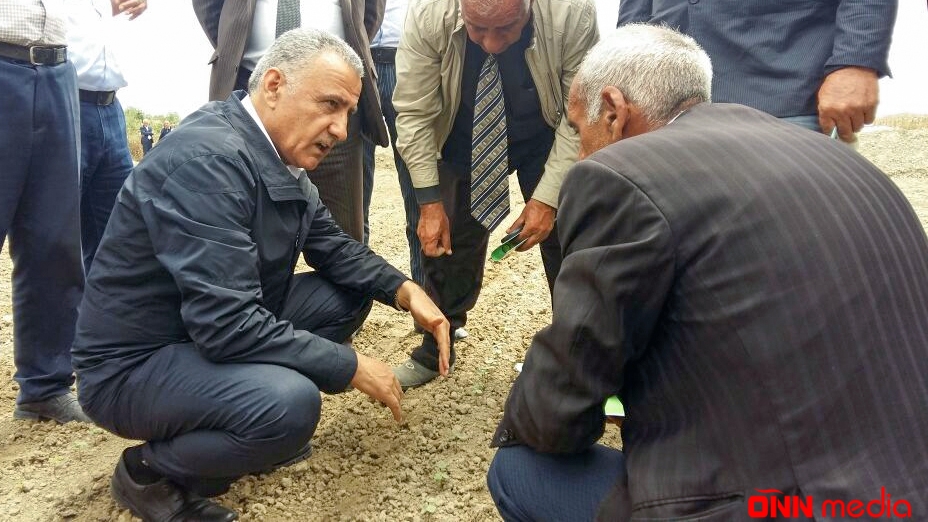 Dövlət fitosanitar nəzarəti xidməti kürdəmir rayonunda fermerlərlə görüş keçirib