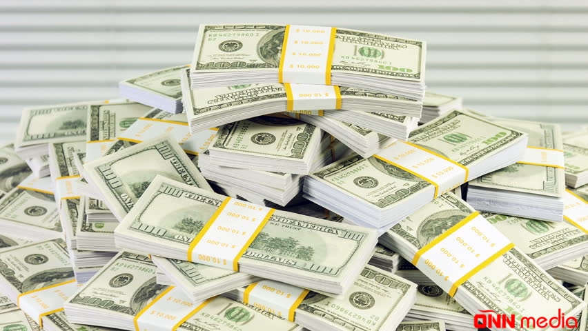 Meşədə yanğın çıxaran gəncə 36,6 milyon dollarlıq CƏZA
