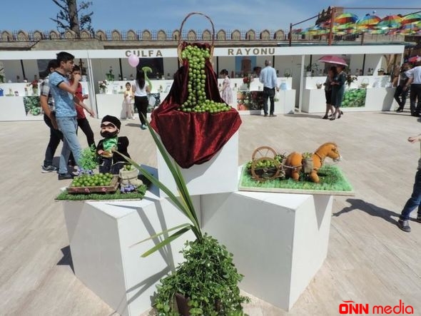 Naxçıvanda alça festivalı keçirilir