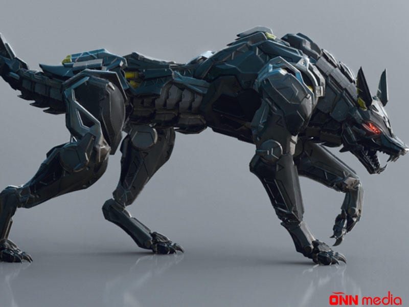 Avropada hərbi robotlar hazırlanır