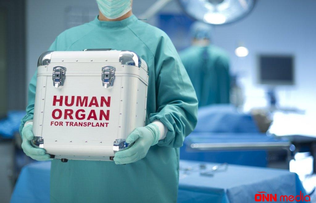 Azərbaycana xaricdən ölü donorun gətirilməsi mümkün olacaq