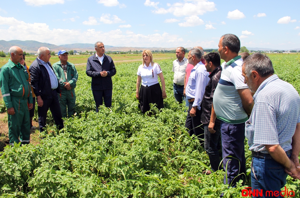 Regional aqrokimya laboratoriyaları məhsuldarlığın artmasında böyük rol oynayacaq