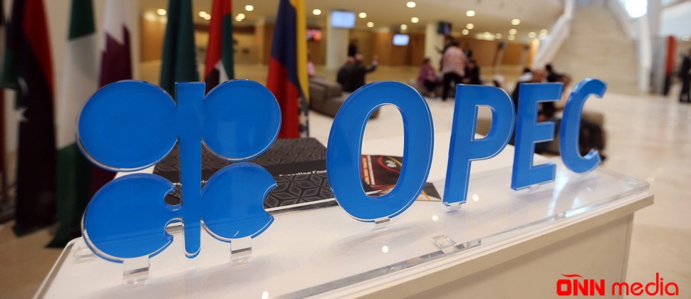 Konqo OPEK-ə qoşuldu
