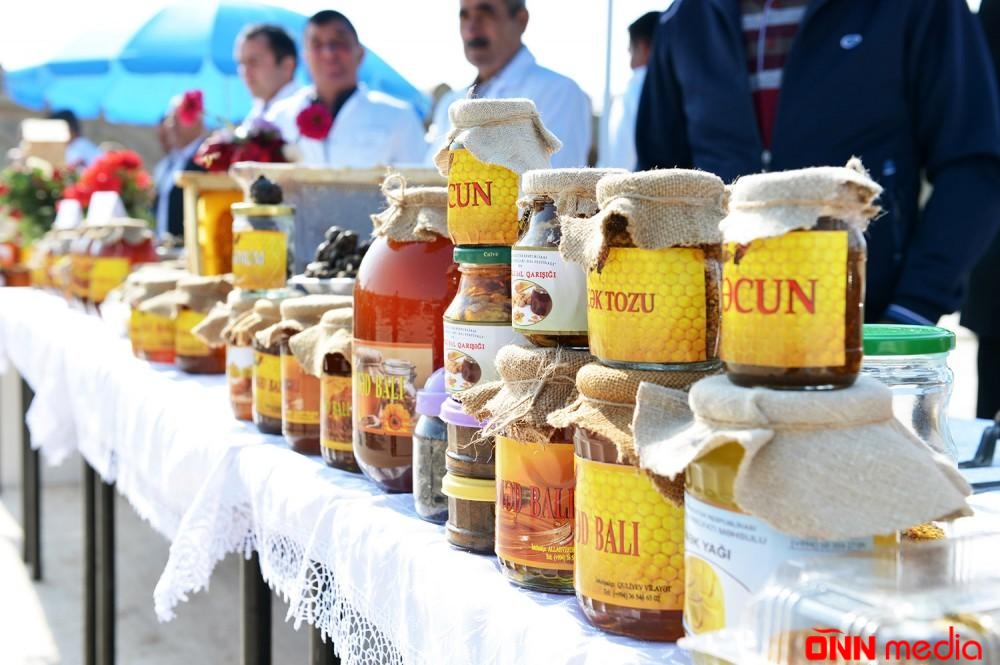 Naxçıvanda “Arıçılıq məhsulları-bal festivalı” başa çatdı