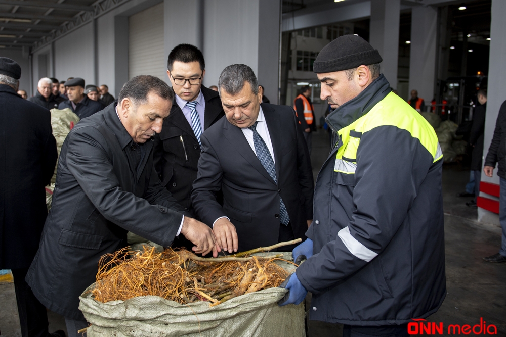 Azərbaycana 1 ton tut tingi gətirildi