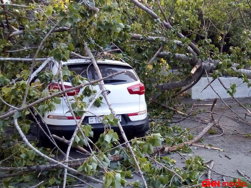 Maşınlarınızı belə yerlərdə park etməyin - BNA