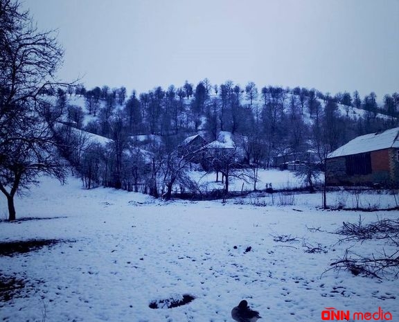Gədəbəy də ağ örpəyə bürünüb - FOTO