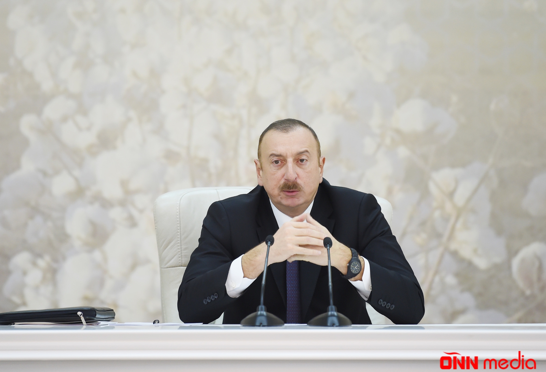 Xalq öz siyasi rəhbərliyindən çox razıdır - Alman portalı