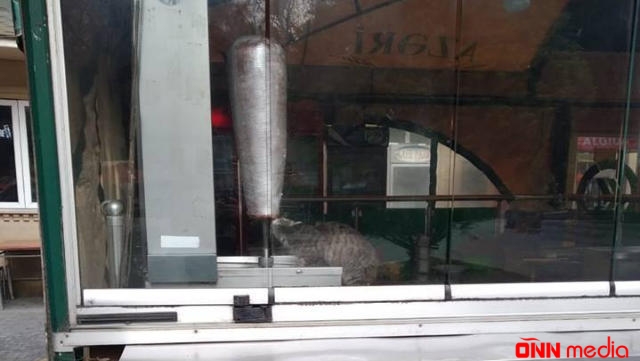 Dönərxanadakı iyrənc görüntüyə görə araşdırma başladı