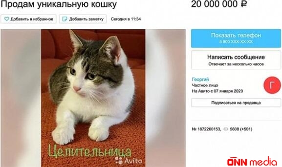 Yuxu gördü və pişiyinə elə birşey etdi ki...