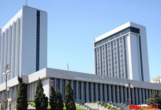Neçə xanım deputat oldu?