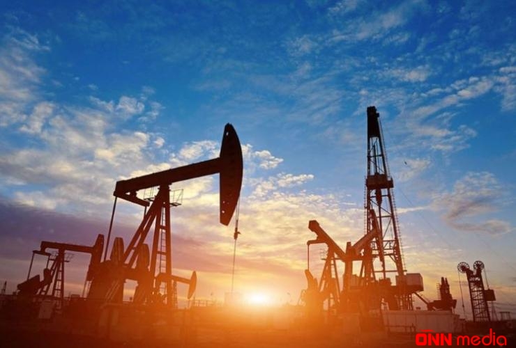 Neft ixracatçılarının zərəri açıqlandı