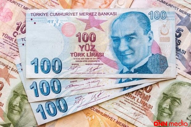 Türkiyə lirəni karantinə aldı