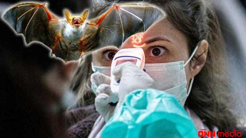 Koronavirusun kökü tapıldı- ŞOK