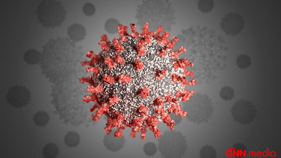 Koronavirus QƏRARI - İlin sonuna qədər QADAĞAN EDİLDİ
