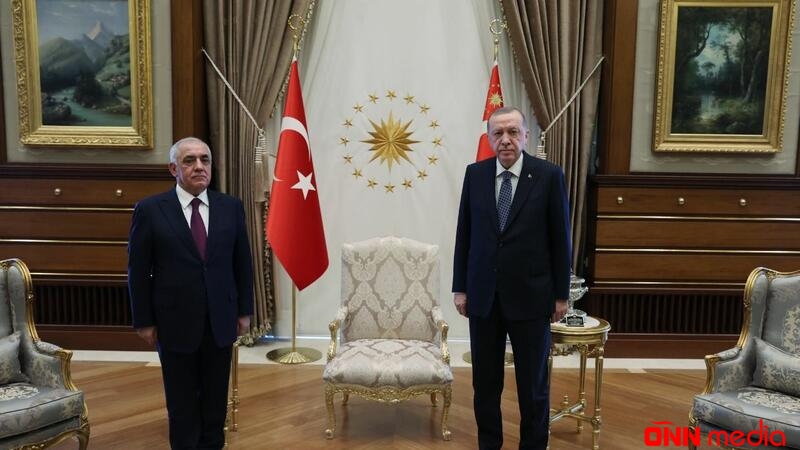 Ərdoğan Əli Əsədovu qəbul etdi