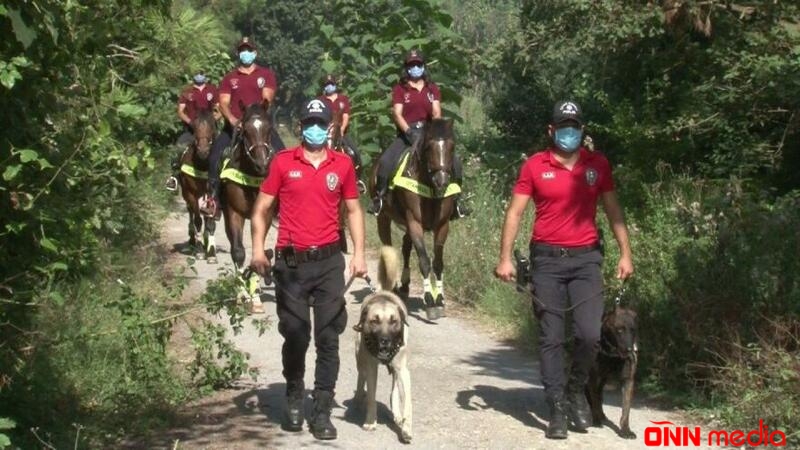 Türk polisi HƏRƏKƏTƏ KEÇDİ: meşələrə bu yolla nəzarət ediləcək