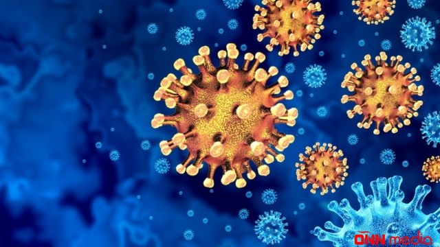Günün koronavirus statistikası açıqlandı