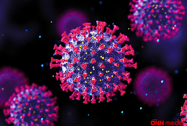 Günün koronavirus statistikası açıqlandı