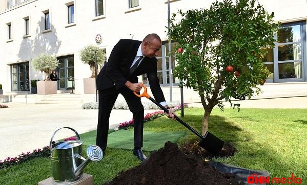 İlham Əliyev Romada ağac əkdi