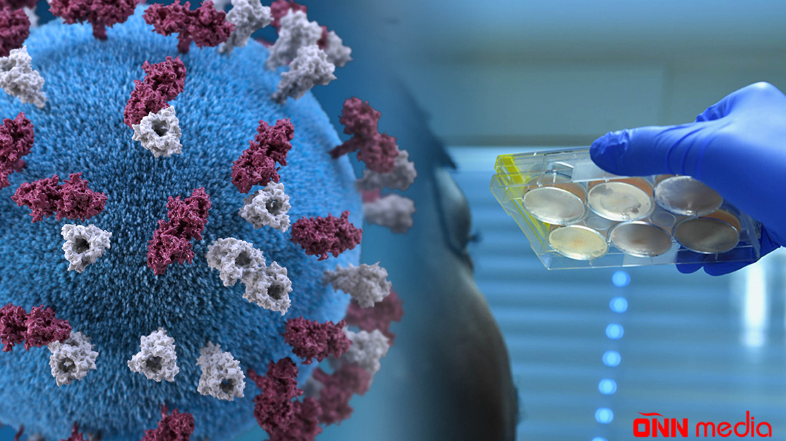 Günün koronavirus statistikası açıqlandı