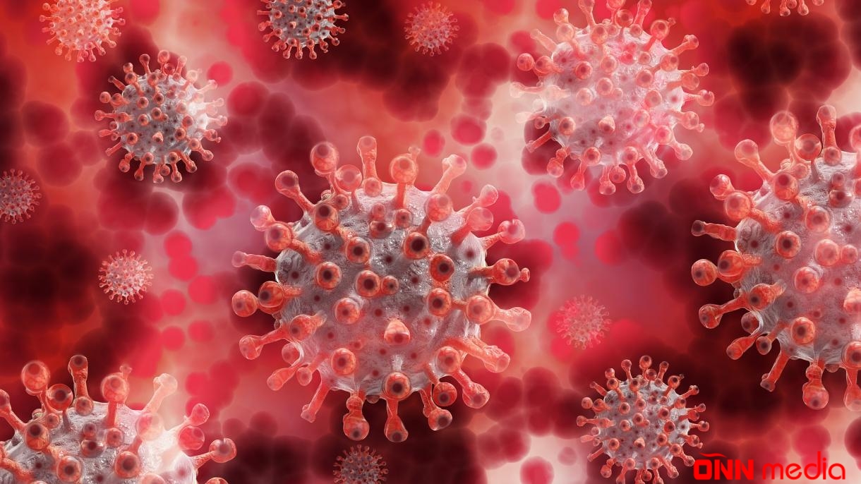 Günün koronavirus statistikası açıqlandı