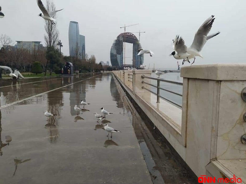 Bu günün havası açıqlandı