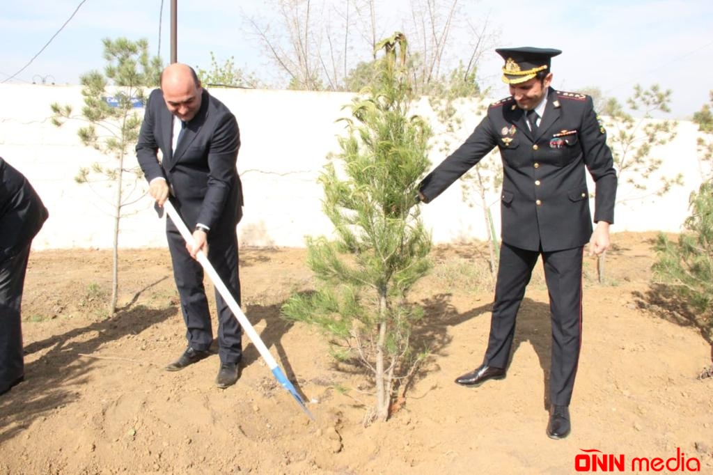 Polislər Heydər Əliyevin 100 illiyi ilə bağlı ağac əkdi