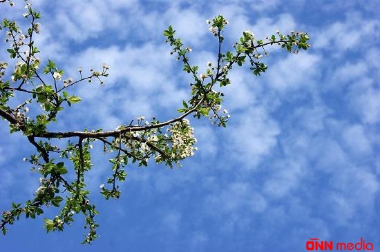 Sabahın hava proqnozu
