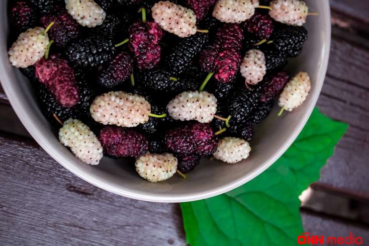 Vitaminlə zəngin olan tutun faydaları