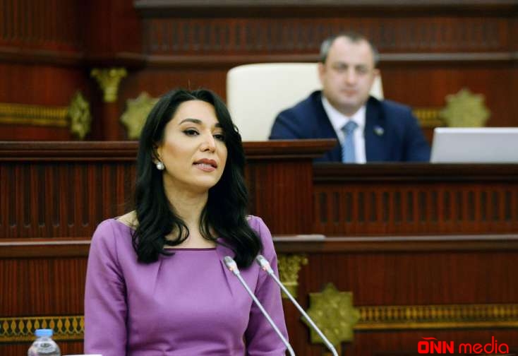 Ombudsmandan Okamponun “ekspert rəyi”nə münasibət