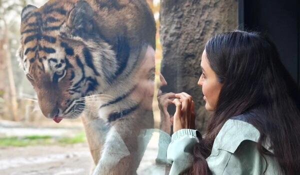 Leyla Əliyeva Bakı Zoologiya parkında olub