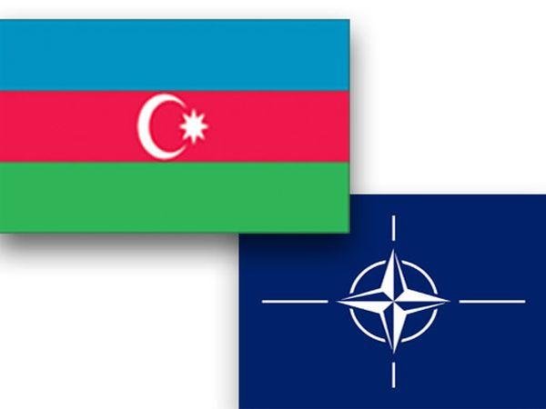Azərbaycan və NATO arasında mühüm müzakirə olub