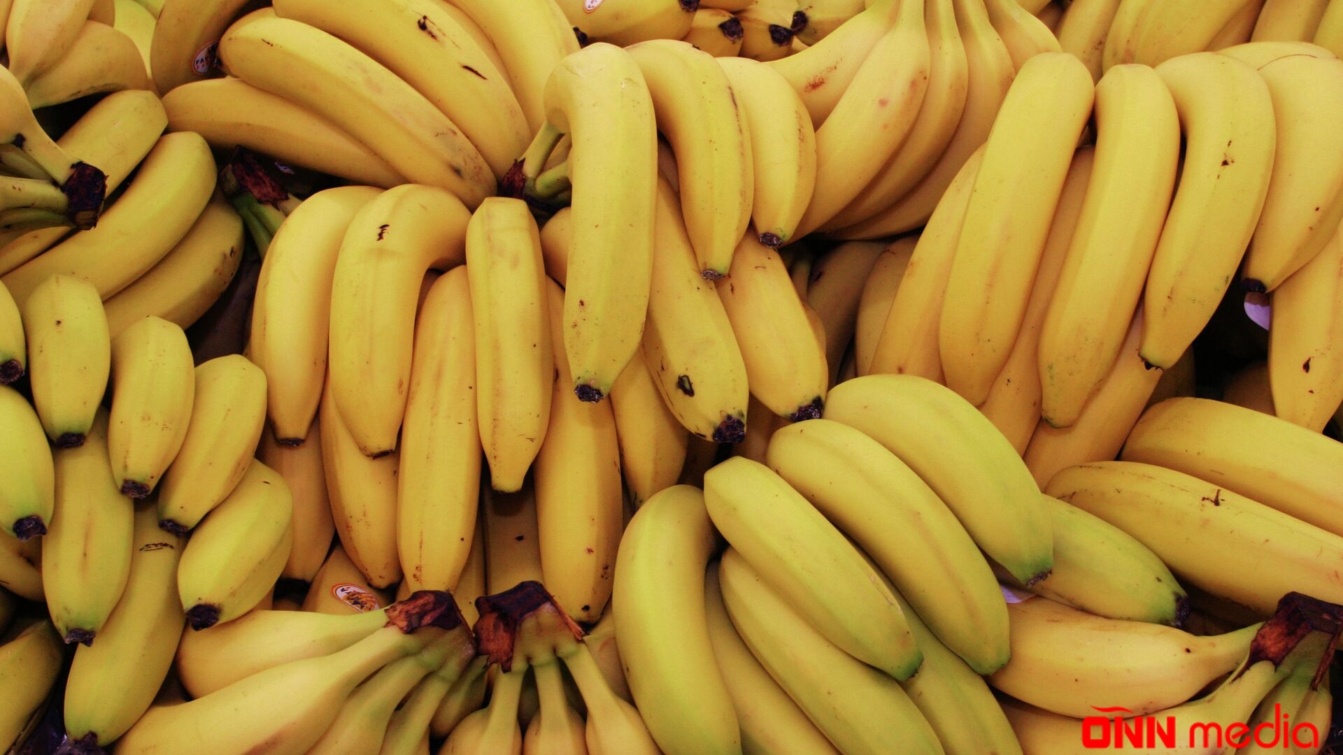 Bananın daha bir möcüzəvi faydası üzə çıxdı