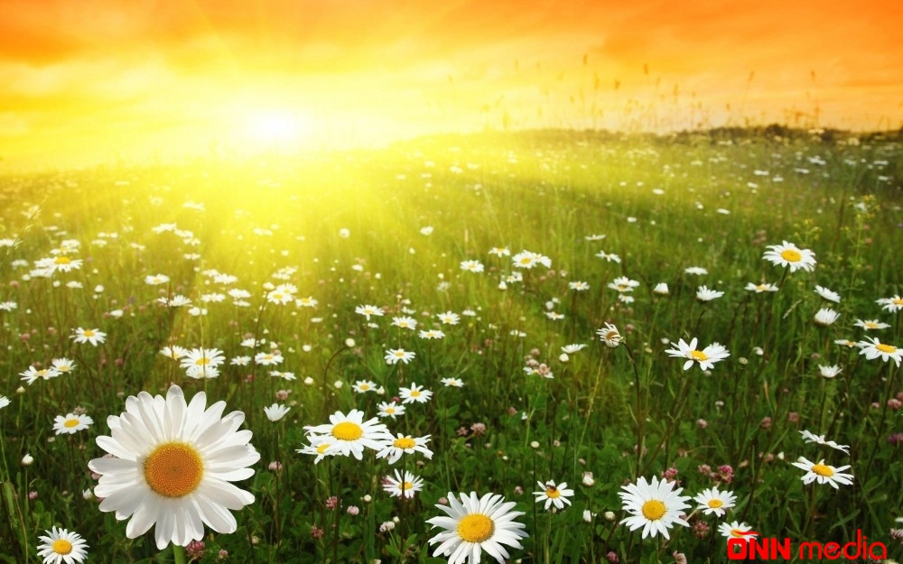 Temperatur 32 dərəcəyə yüksələcək