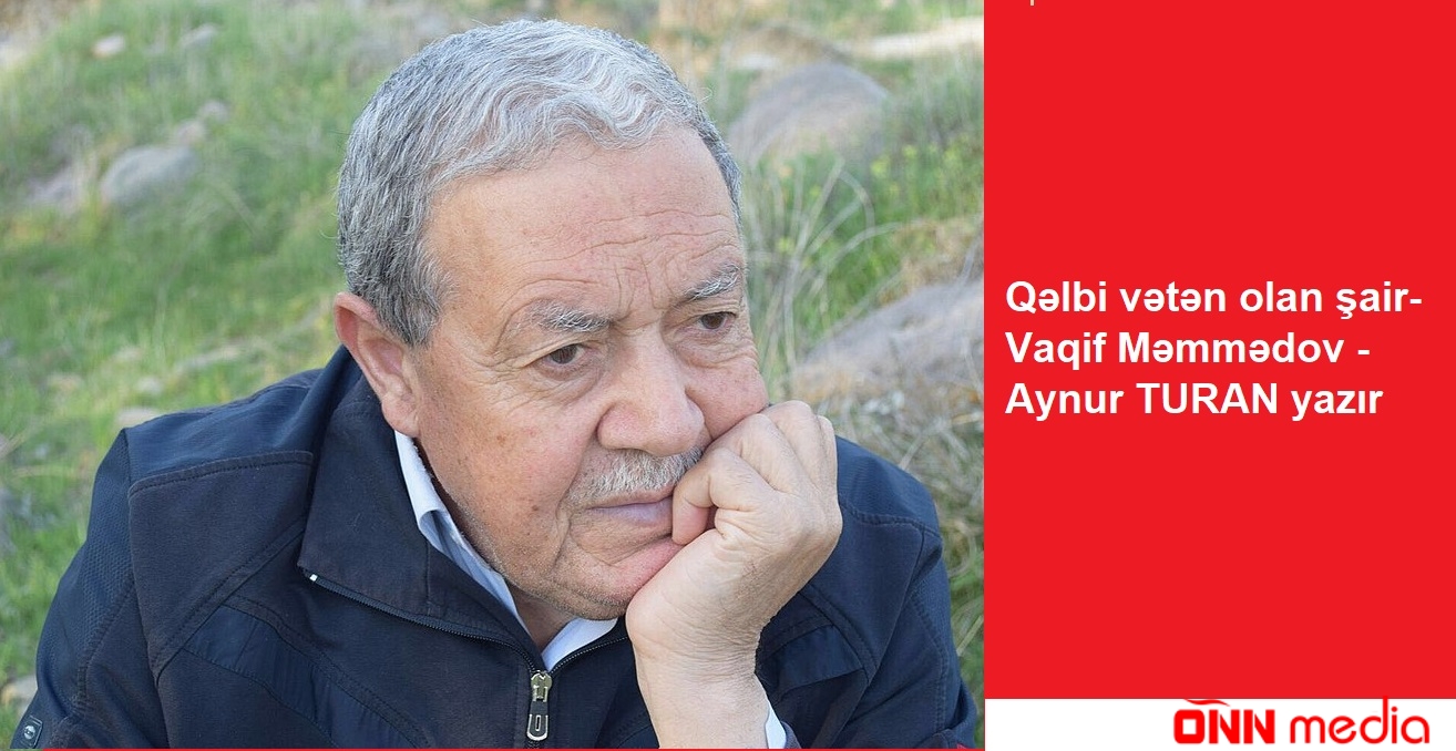 Qəlbi vətən olan şair-Vaqif Məmmədov - Aynur TURAN yazır