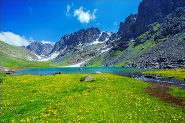 Zəngəzur Milli Parkı ilə bağlı qərar verildi