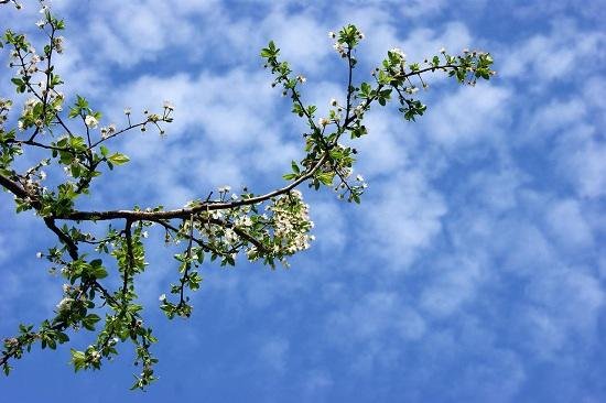 Temperatur 27 dərəcəyə yüksələcək