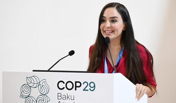 Leyla Əliyeva Müstəqillik Günü ilə bağlı paylaşım edib