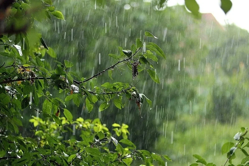Sabah Azərbaycanda yağış yağacaq