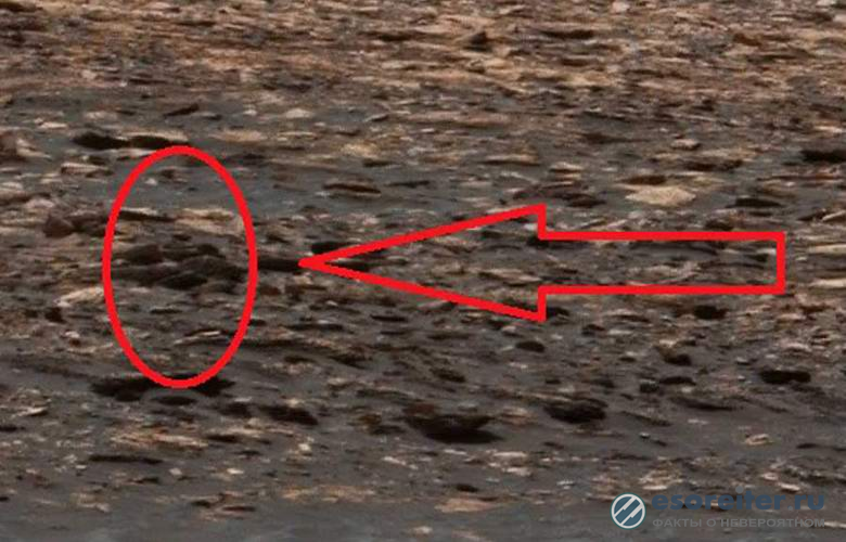 Marsda insanabənzər fiqurlar tapıldı – Video