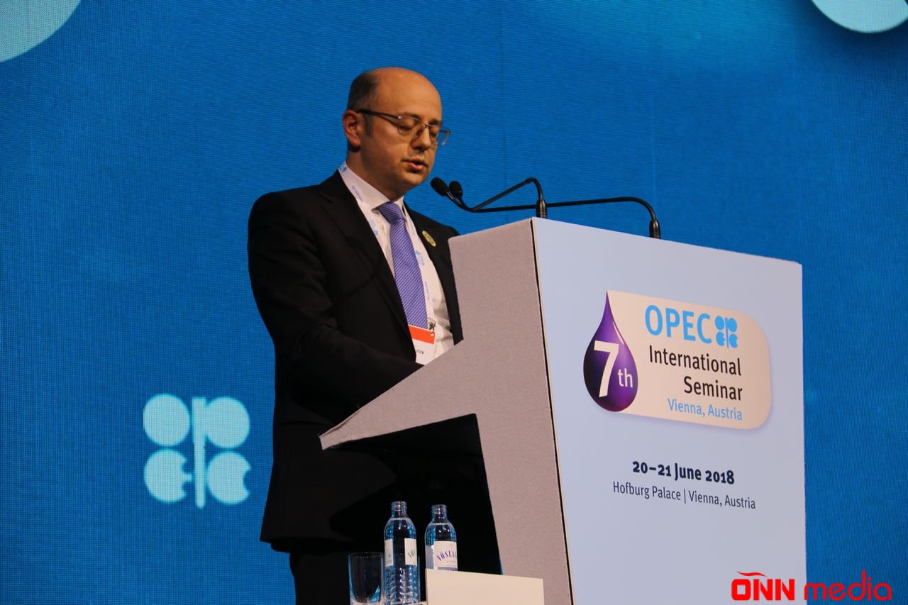 Azərbaycanın energetika naziri OPEC-in tədbirində çıxış edib