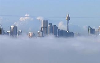Qatı duman Sidneyi ağ örpəyə bürüdü – Video