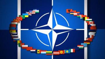 NATO-da Ukraynanı… – Vereşukdan AÇIQLAMA