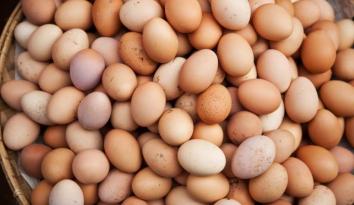 Azərbaycan Əfqanıstana yumurta ixracını artıracaq