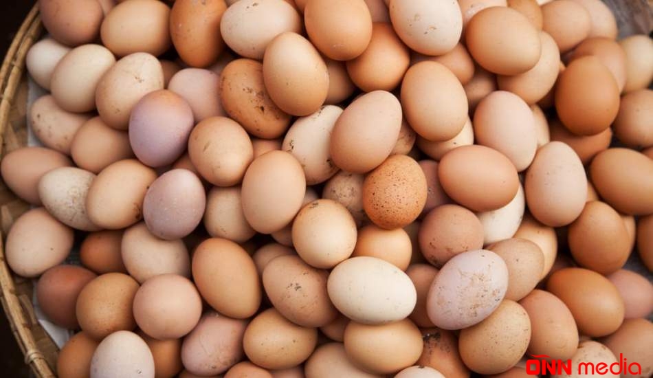Azərbaycan Əfqanıstana yumurta ixracını artıracaq