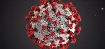 Cəlilabadın bir kəndinin 26 sakinində koronavirus aşkarlandı