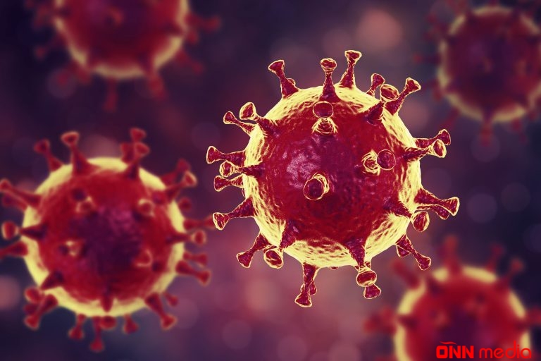 Koronavirusun ortaya çıxdığı Çində xəstəlikdən ölümlər dayandı